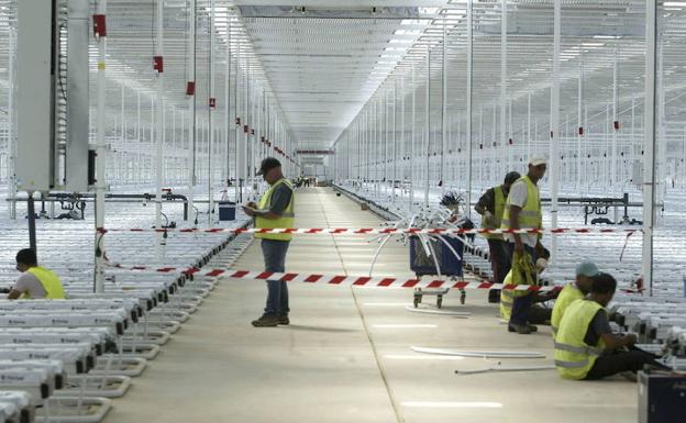 Castilla y León crea 166 nuevas empresas cotizantes en 2017