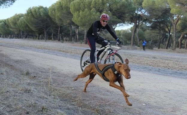 Víctor Carrasco y Marta Barrufet, ganadores de la penúltima prueba de la Copa de España
