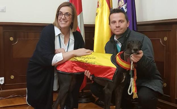 Palencia rinde homenaje a Malú, la campeona del Nacional de Galgos