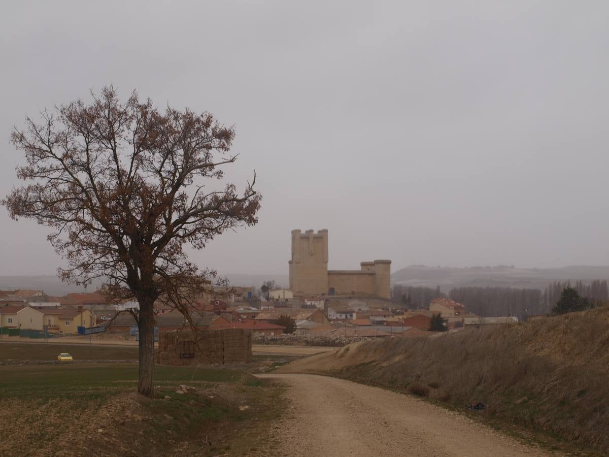 Carrera de cintas a caballo de los quintos de Torrelobatón