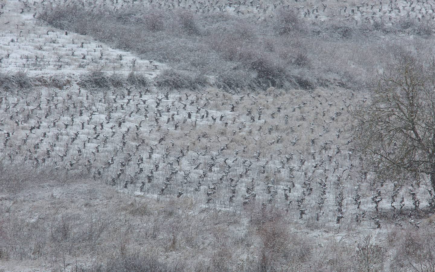 Regresa el temporal de nieve a León