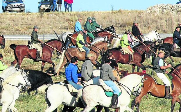 Los encierros a caballo centran la primera charla del ciclo organizado por los caballistas en Cuéllar