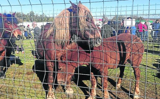 Los ayuntamientos de la provincia contarán con la ayuda de la Diputación para organizar ferias