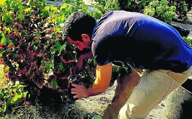 Objetivo: recuperar el pueblo de Adrados