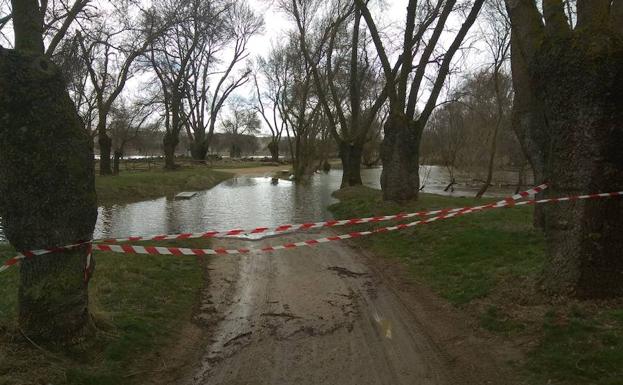 Acordonadas algunas zonas del parque 'El Soto' en Ávila ante la crecida del río Adaja