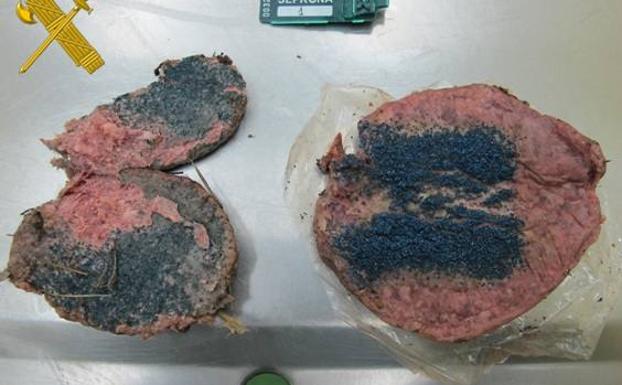 Investigan a una persona por causar la muerte de fauna salvaje con cebos envenenados