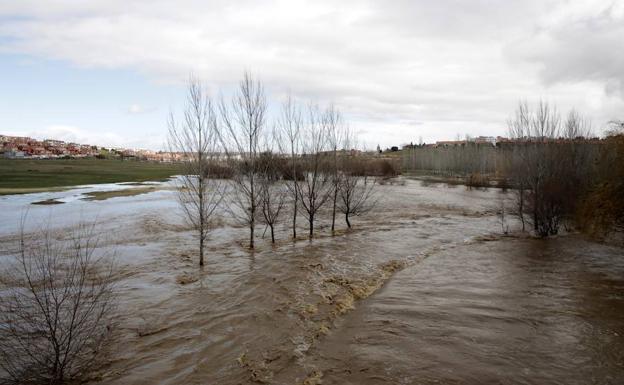 El Tormes y el Águeda anegan riberas en varias zonas de la provincia
