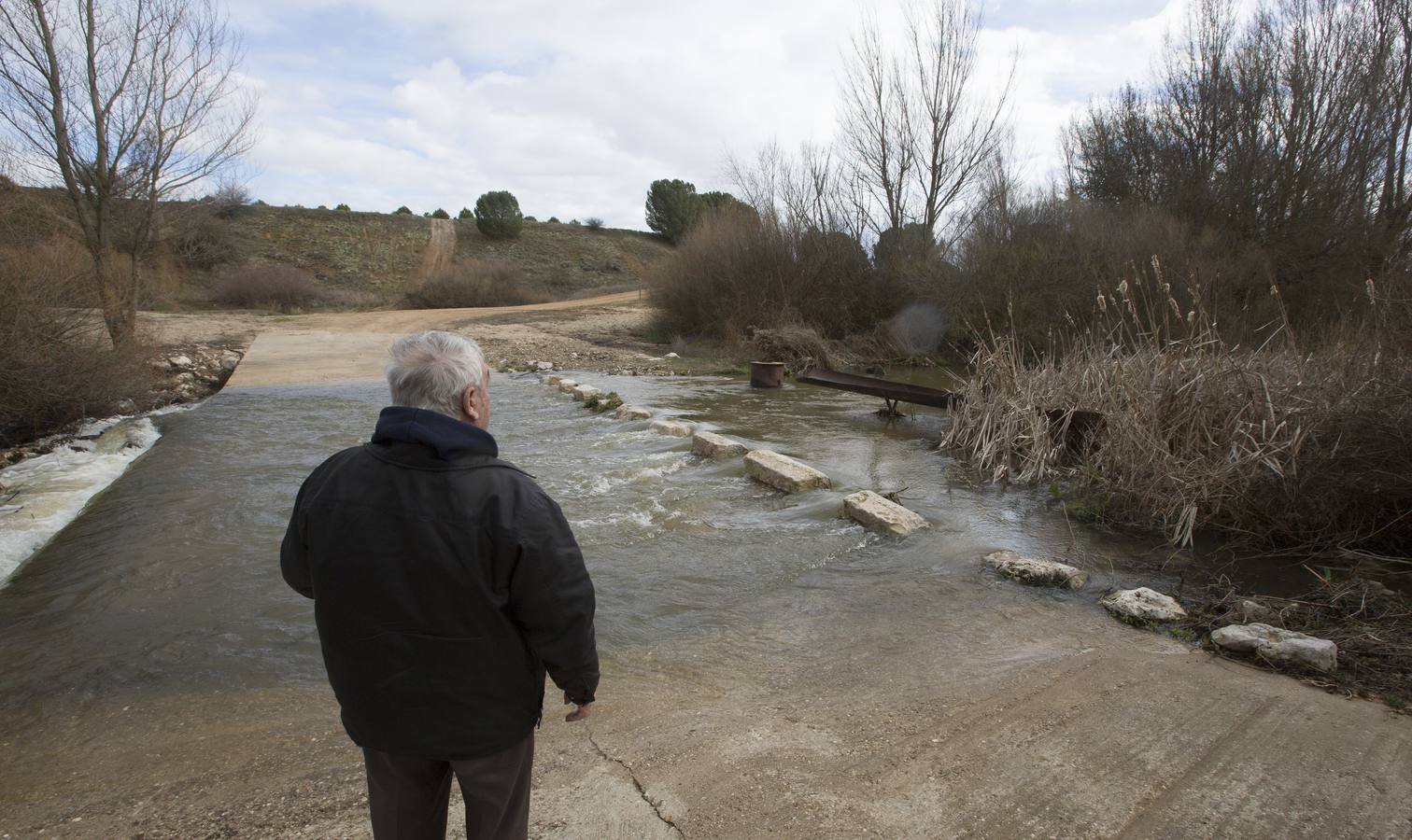 El río Adaja pasa desbordado por Valdestillas y Matapozuelos