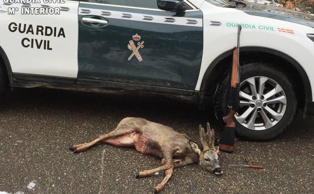 Investigado por abatir un corzo en Guardo en periodo de veda