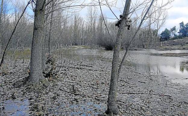 La crecida del Voltoya inunda la parcela donde se proyecta la planta de residuos