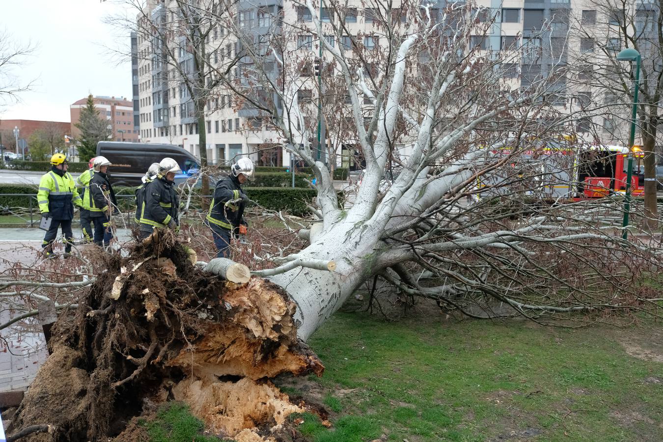 La lluvia y el viento causan estragos en Valladolid