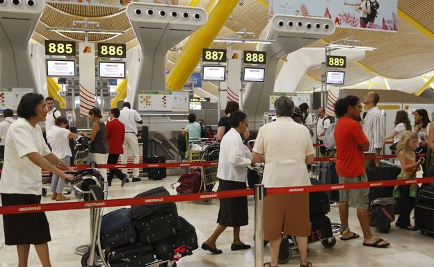 Pautas para llevar mascotas en los aviones según las diferentes compañías aéreas