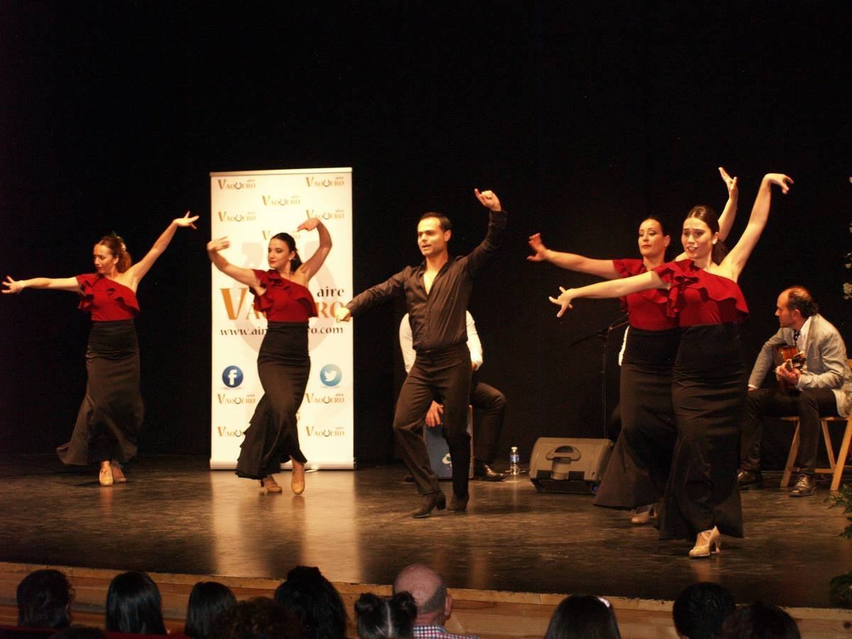 Desfile de moda flamenca a favor de la Fundación Sandra Ibarra en Pedrajas de San Esteban