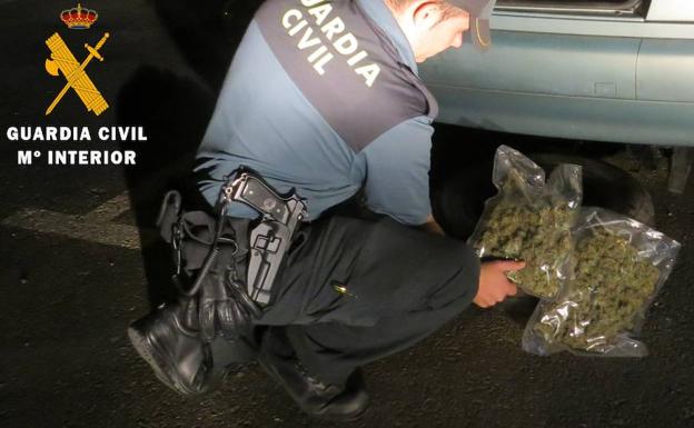 Investigados tres jóvenes de la Valdavia por el cultivo de marihuana