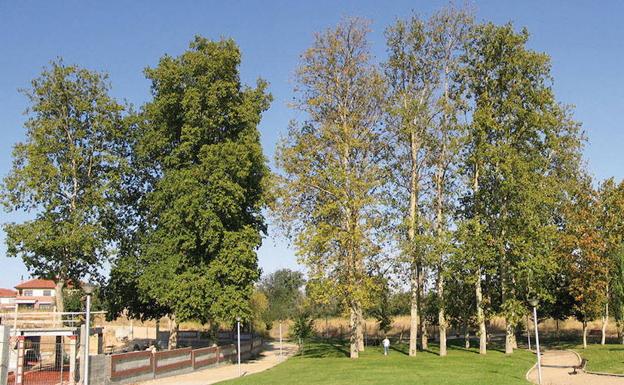 La Junta investiga el origen del polvo negro detectado en el aire de algunos barrios de Valladolid