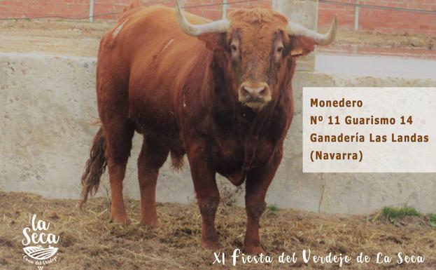 'Monedero', de 600 kilos, Toro del Sarmiento 2018