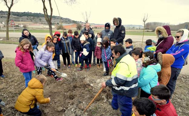 Los escolares de Baltanás disfrutan de un intenso Día del Árbol