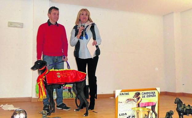 La perra ganadora del Nacional de Galgos tendrá una calle con su nombre en su pueblo