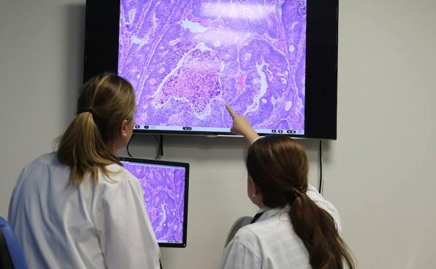 Uno de cada diez casos de cáncer en la provincia es de colon