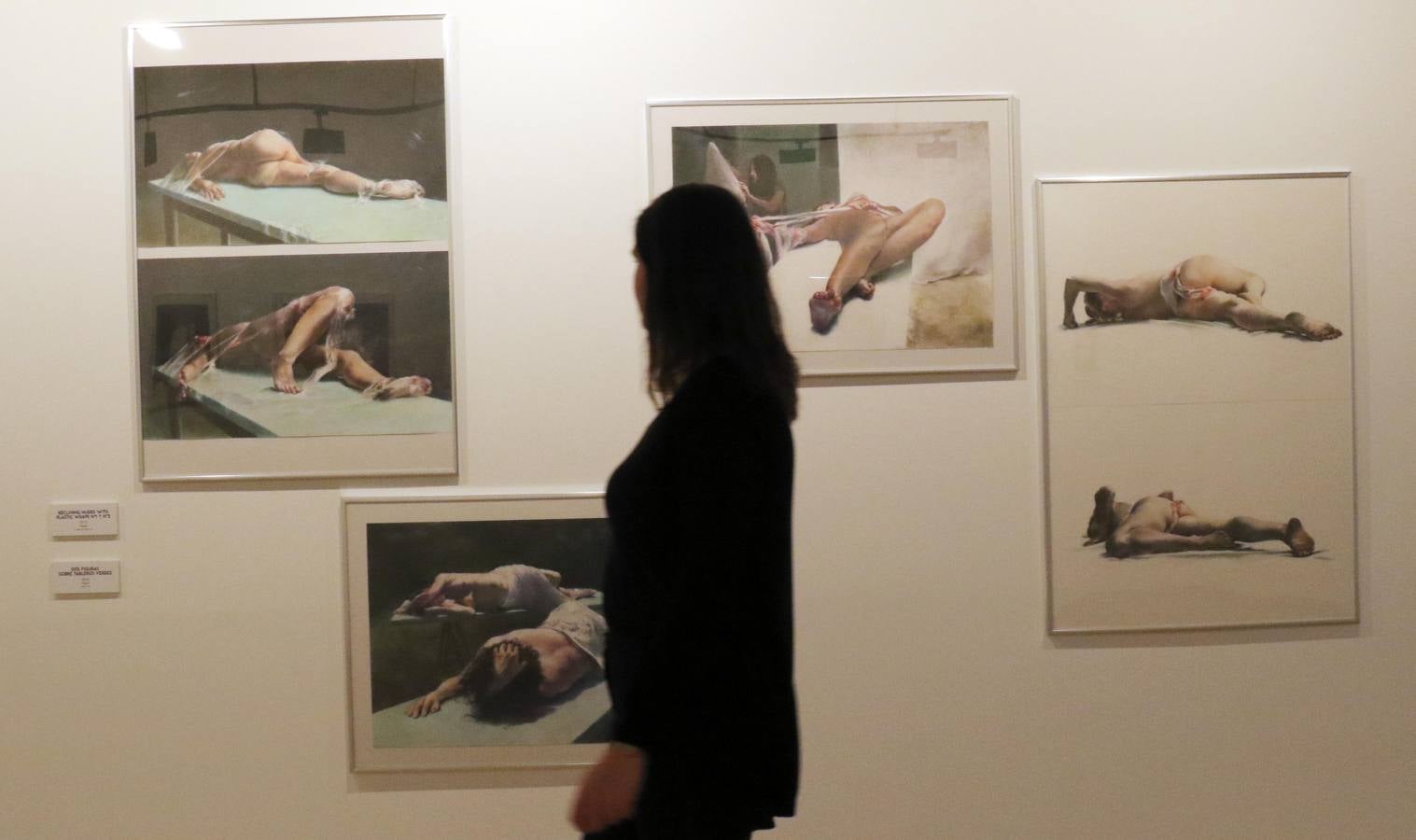 Exposición de Narciso Maisterra en el Palacio Pimentel de Valladolid