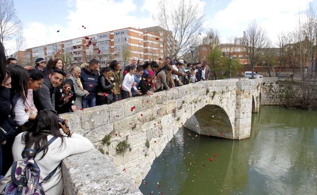 Cuatro colectivos reivindican en Palencia igualdad real en el Día del Pueblo Gitano