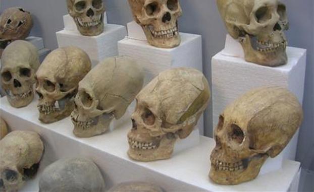 Reconstruyen los milenarios cráneos alargados de Tiwanaku en Bolivia