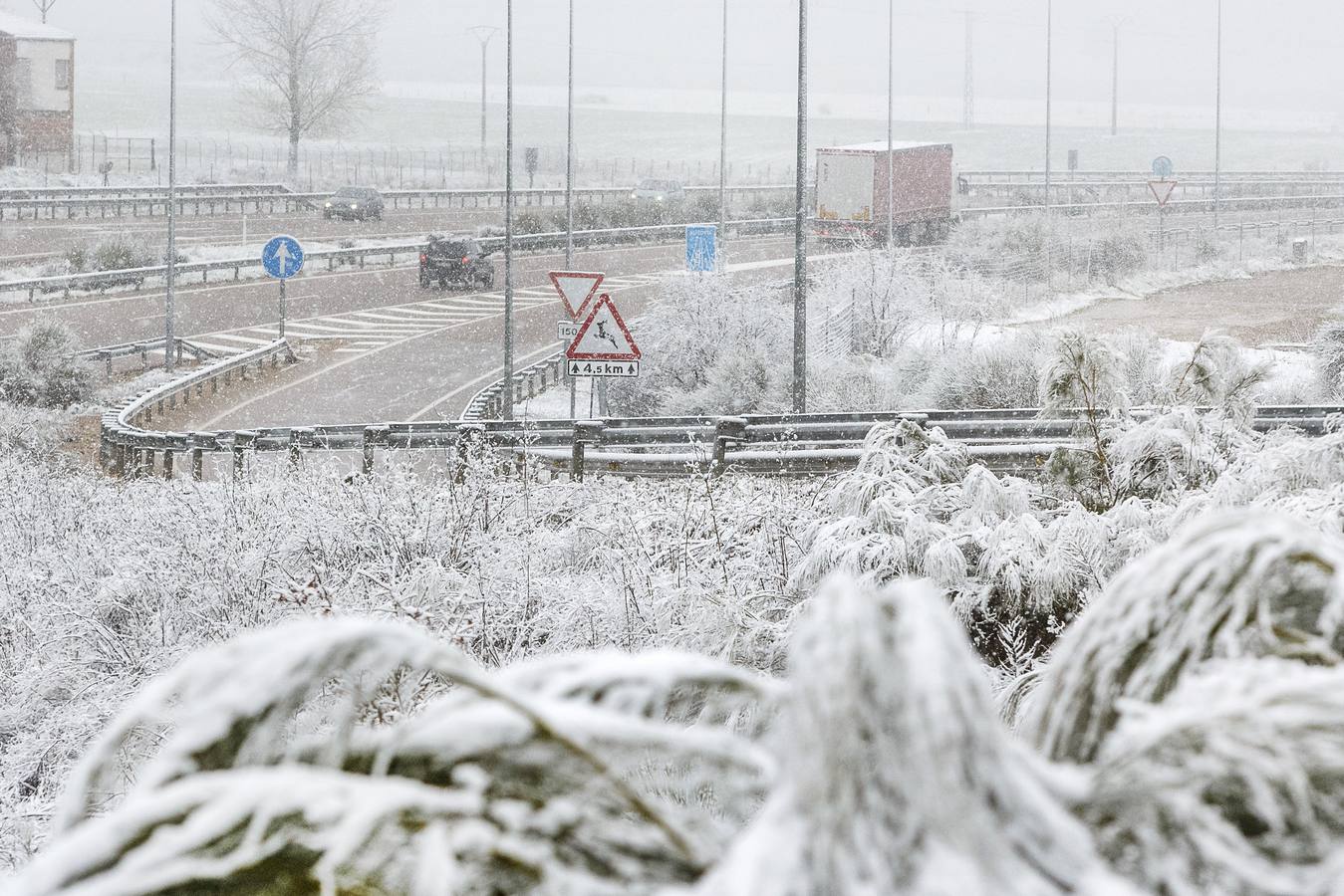 Nieve en la provincia de Salamanca