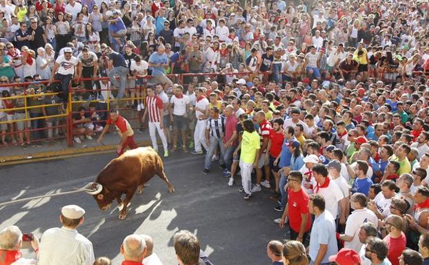 Más de 3.000 personas participan en la petición del Toro Enmaromado de Benavente