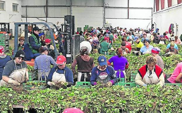 El comercio y la agroalimentación tiran del carro de la contratación en la provincia