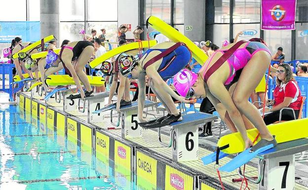 Medio millar de nadadores en el Ciudad de Valladolid
