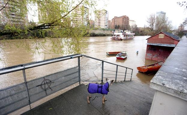 El Duero y el Adaja, en Valladolid, y el Arlanza, en Palencia, alcanzan el nivel de alerta en las últimas horas