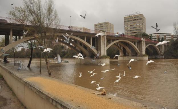 El caudal de los ríos remite en la provincia, pendientes del deshielo de los próximos días