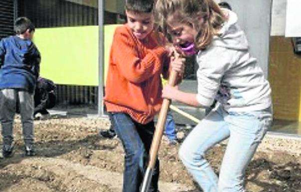 Escolares de Renedo crean un huerto escolar educativo