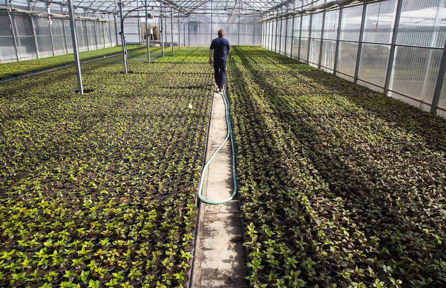 La primavera llega a Valladolid
