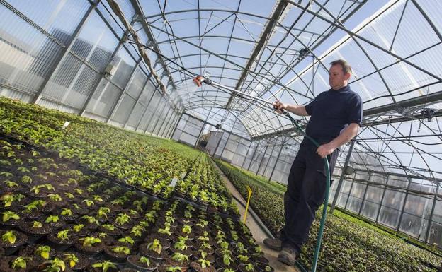 La primavera llega a Valladolid con 150.000 flores