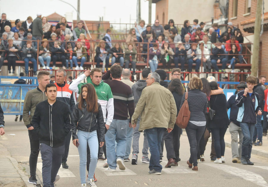 En el Toro del Sarmiento de La Seca resultan heridas tres mujeres