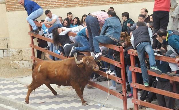 Tres mujeres resultan heridas en el Toro del Sarmiento de La Seca
