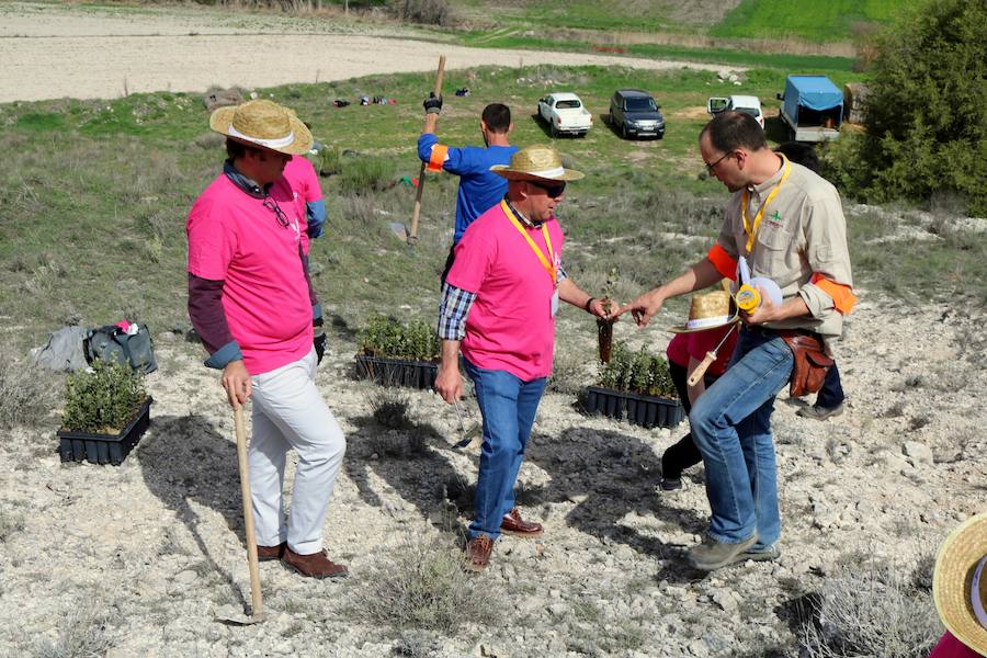 Jornada de reforestación en Cevico Navero