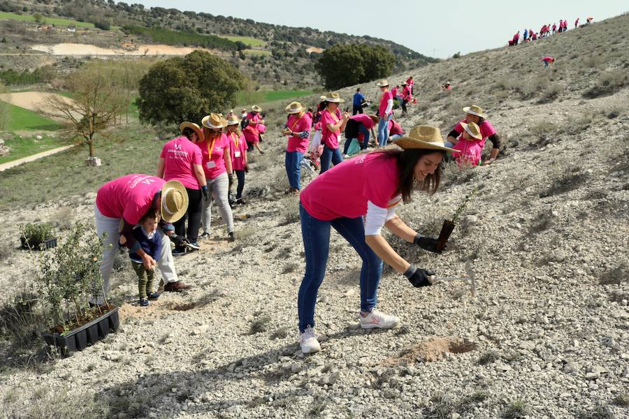 Jornada ambiental en Cevico Navero
