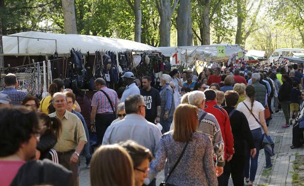 Los caracoles toman el Sotillo de Palencia