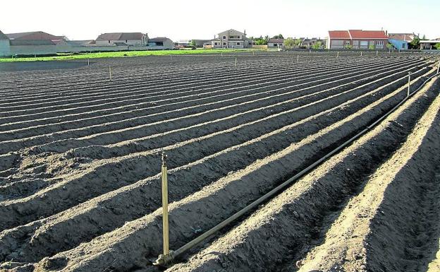 Vecinos y agricultores de Gomezserracín, contra la recarga del acuífero del Carracillo