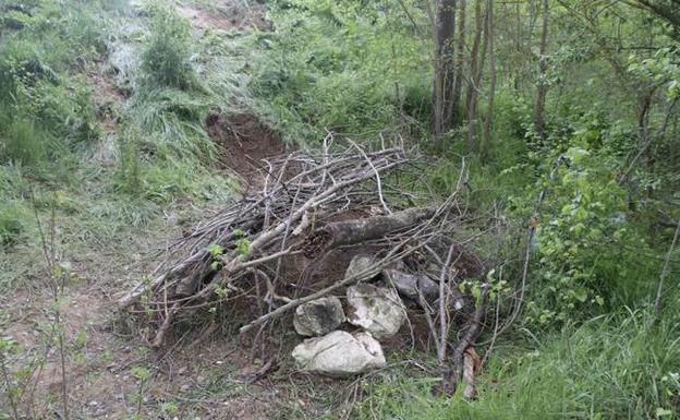 Hallado un caballo muerto junto a la Senda del Duero en Peñafiel