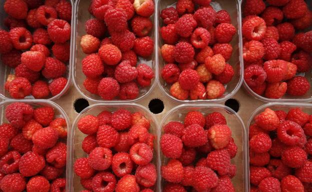 Una jornada técnica abordará en Zamora el cultivo de los pequeños frutos