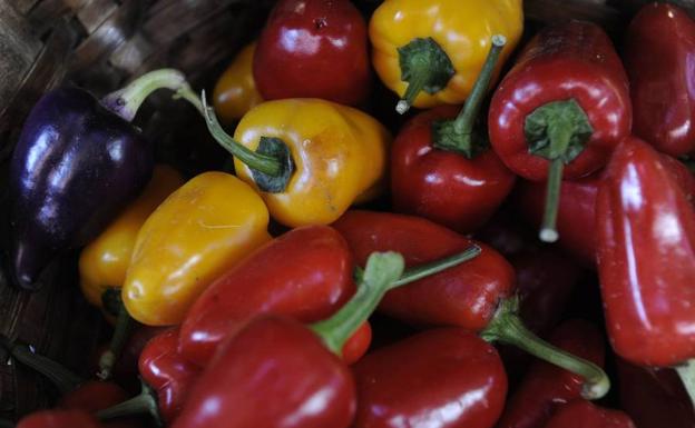 El pimiento, color de sibaritas