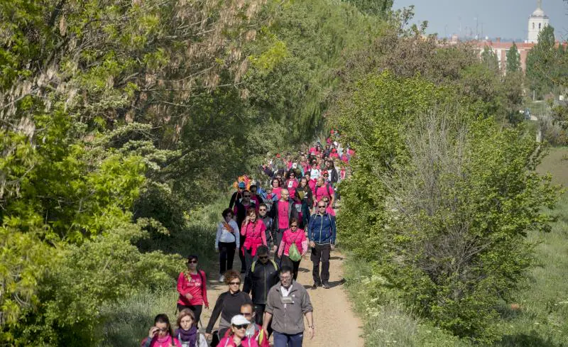 41 Marcha Asprona: 22 kilómetros de zancadas rosas por la inclusión social