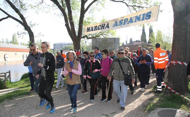 900 personas participan en la Marcha Aspanis de Palencia