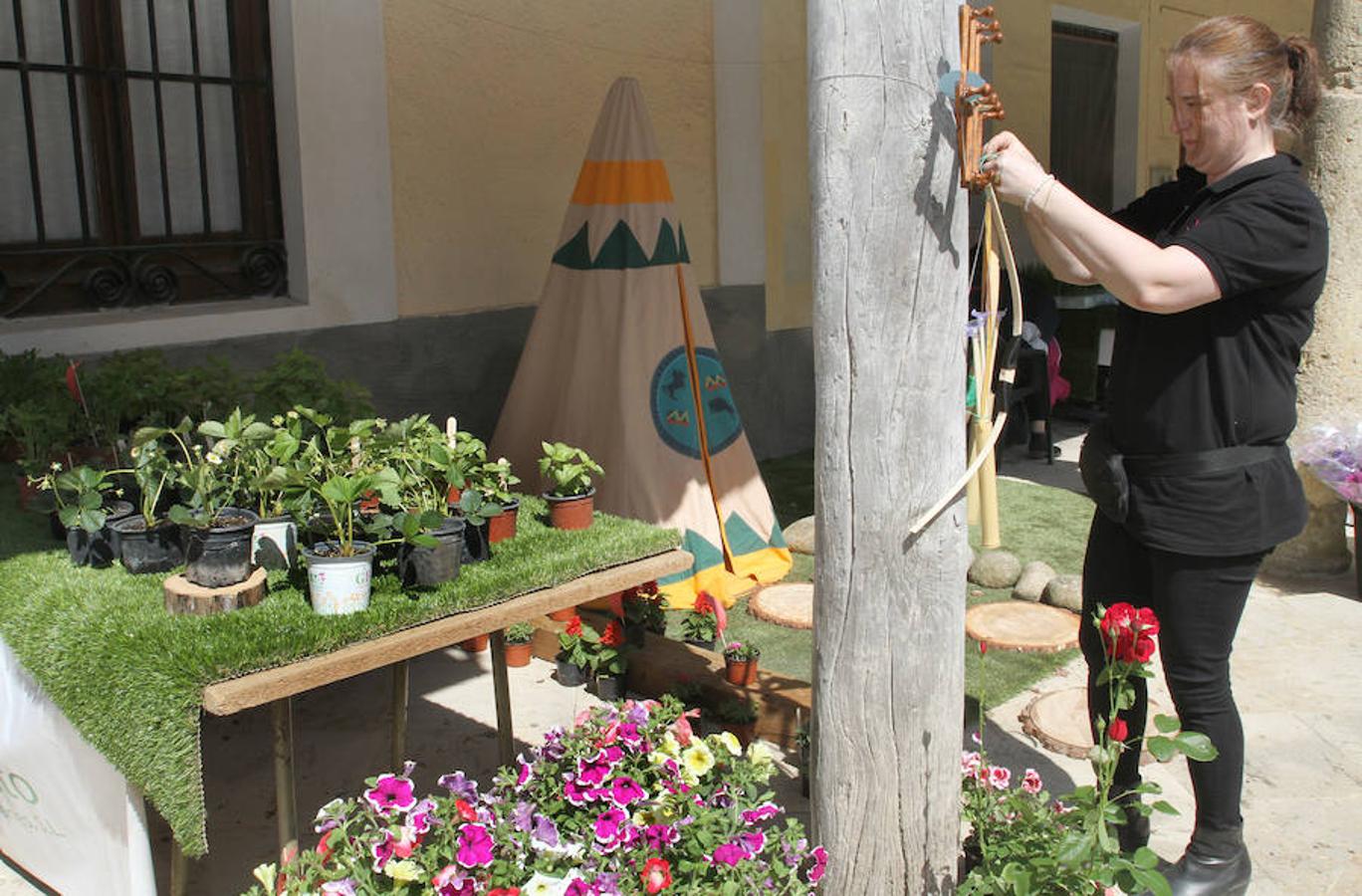 El aroma floral invade Ampudia