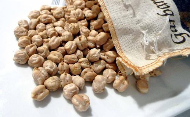 UCCL pide el descaste de jabalíes para evitar la pérdida del garbanzo