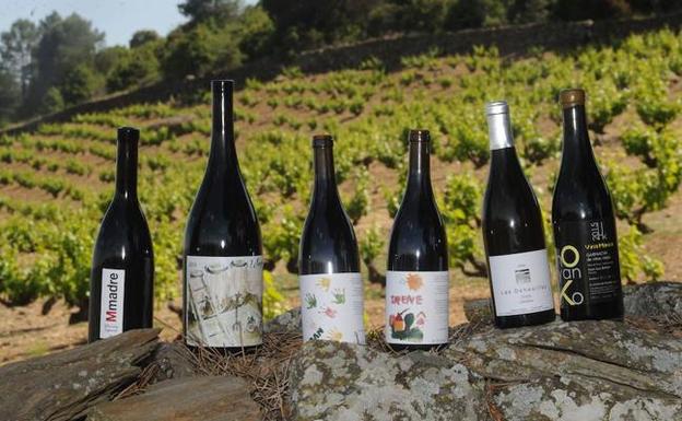 Nueve 'novias', para nueve vinos