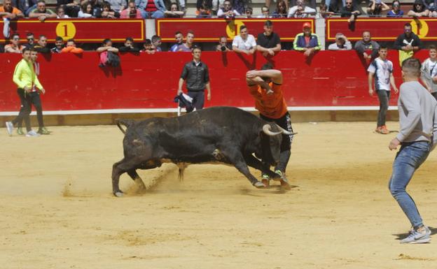 Encierros, flamenco y ruta de pinchos abren las fiestas patronales en Laguna